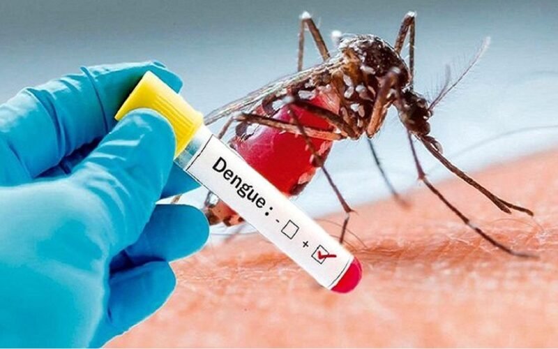 Noida Witnessing Steady Rise in Dengue Cases; Health Department Confirms 11 New Patients