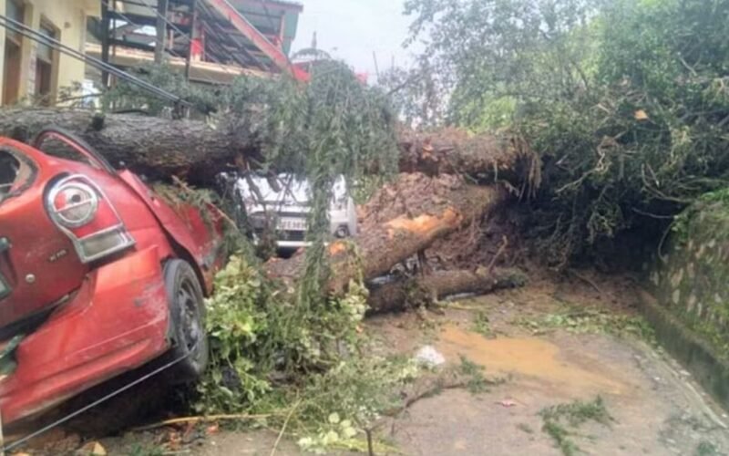Heavy Rains Cause Over 200 Tree Falls and Massive Landslides in Himachal Pradesh&#8217;s Capital